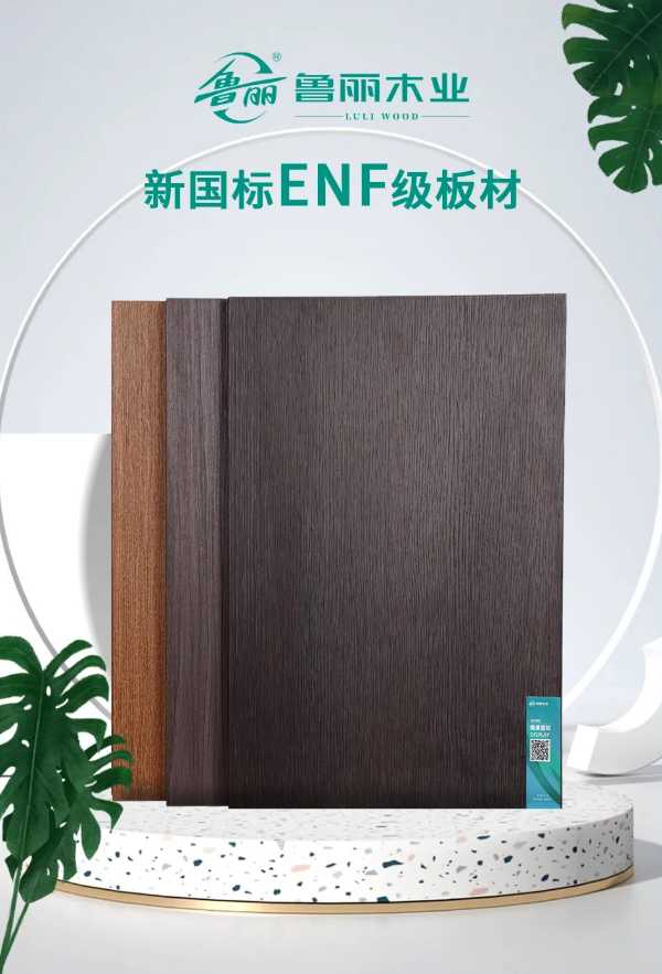 政企交流促发展丨广元市昭化区政府副区长左家友到湖南鲁丽木业考察调研