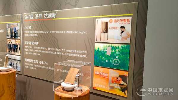 福庆孕婴板绿色工厂开放日：领略品质工艺，守护孕婴未来