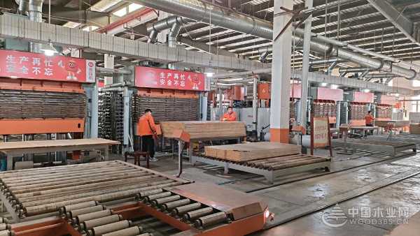 福庆孕婴板绿色工厂开放日：领略品质工艺，守护孕婴未来