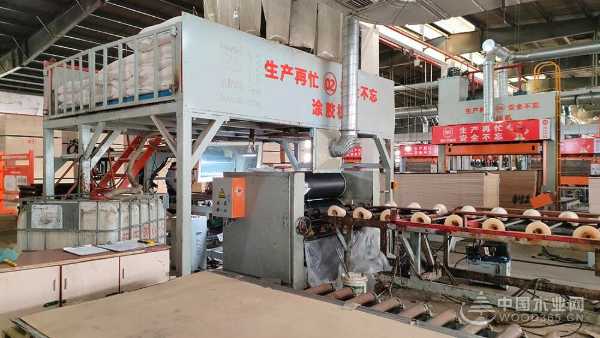 福庆孕婴板绿色工厂开放日：领略品质工艺，守护孕婴未来