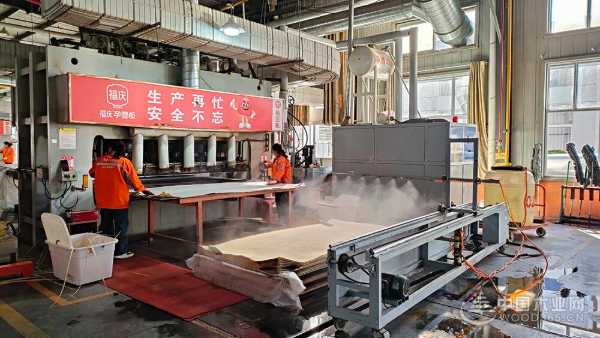福庆孕婴板绿色工厂开放日：领略品质工艺，守护孕婴未来