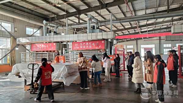 福庆孕婴板绿色工厂开放日：领略品质工艺，守护孕婴未来