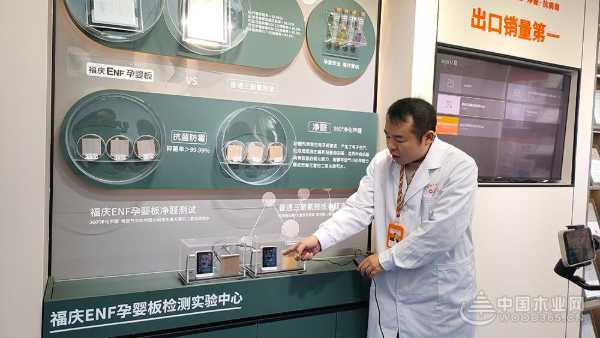 福庆孕婴板绿色工厂开放日：领略品质工艺，守护孕婴未来