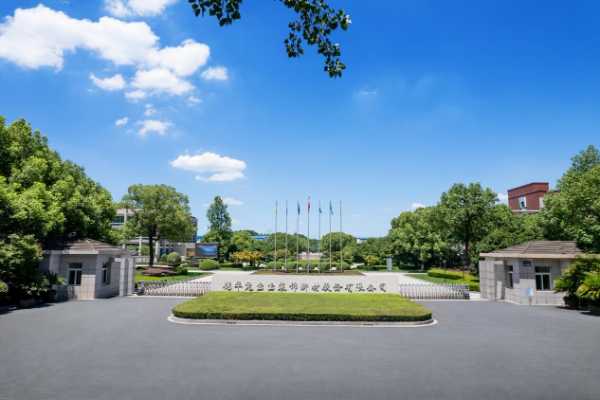 共筑智能体，生成新未来兔宝宝荣获2024百度年度品牌合作奖