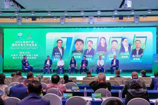 付秋霞女士在2024年林产品国际贸易交流促进会，分享双循环下的行业创新与广西发展策略.