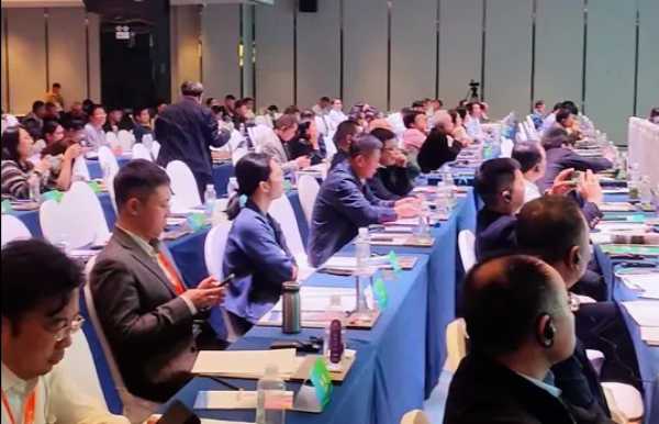 付秋霞女士在2024年林产品国际贸易交流促进会，分享双循环下的行业创新与广西发展策略.