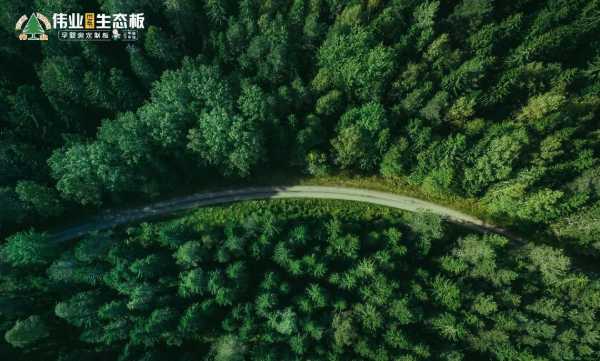怎么选购靠谱板材？伟业为您支支招