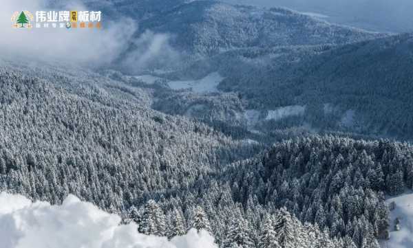 选择伟业牌ENF板材的9大理由