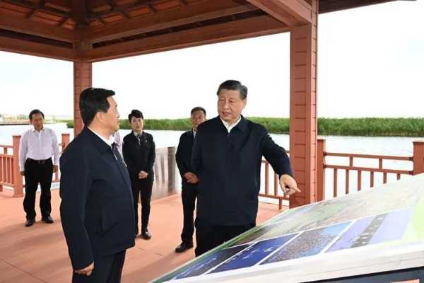 “芦花”绽放在习总书记牵挂的这片“海”