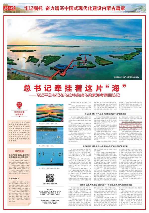 “芦花”绽放在习总书记牵挂的这片“海”