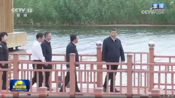 “芦花”绽放在习总书记牵挂的这片“海”