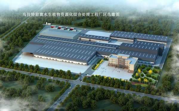 “芦花”绽放在习总书记牵挂的这片“海”