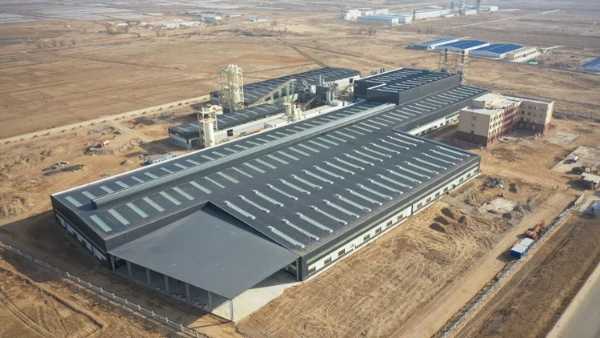 “芦花”绽放在习总书记牵挂的这片“海”