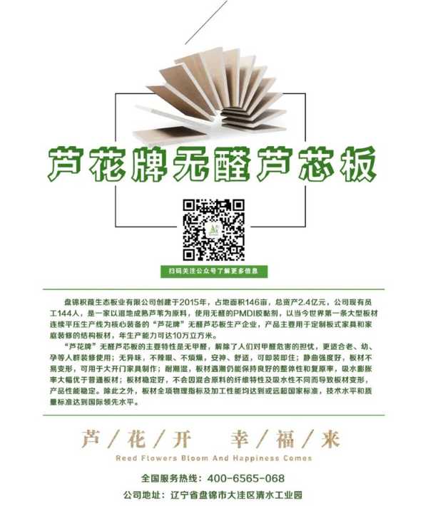 “芦花”绽放在习总书记牵挂的这片“海”