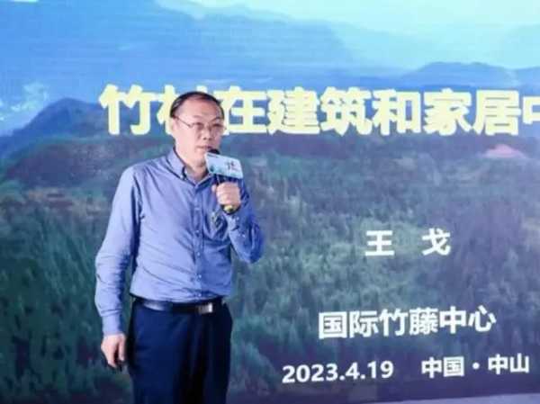与“竹”同居，顶固重新定义“整家环保”