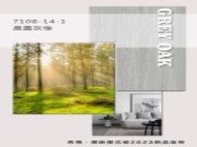 天德·美亿佳2023花色新品推介  晨露灰橡打造现代极简客餐厅