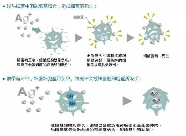 韩氏板材丨这款板材能抗菌，能防霉，双重保障更安心