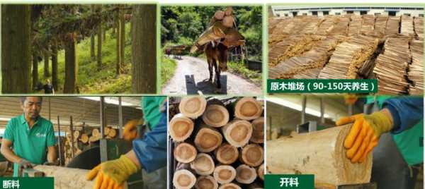 非遗保护单位！抗细菌率99.99％！壮象醇香板的无限可能！