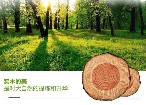 森世特ENF级环保板材，打造绿色健康家！