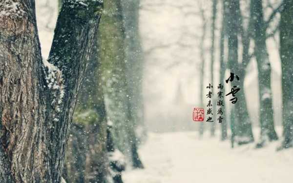 安氏亚森板材：小雪至 天气日渐薄凉 构建温暖舒适圈