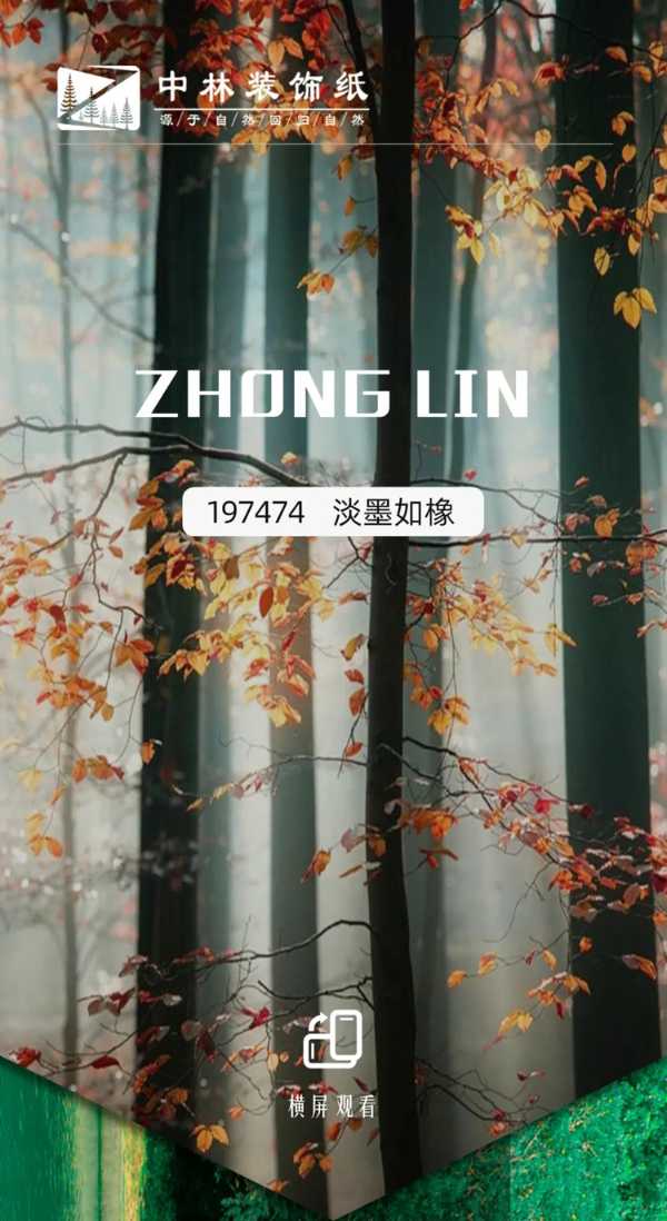 淡墨如橡 | 中林彰显四季生活气息