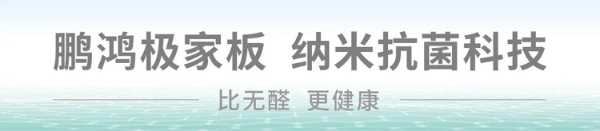 物理or化学丨揭幕鹏鸿「抗菌材料」背后的秘密