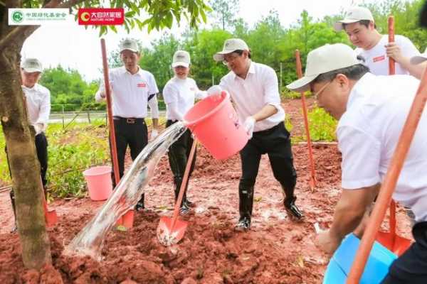 “我为双碳种棵树”落地江西南康 大自然家居“绿色版图”再扩张