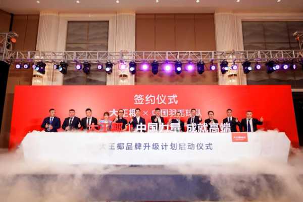传承冠军精神，大王椰抗菌除醛板彰显国货魅力 