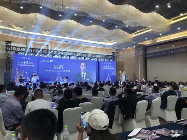 尼尔科达芦苇板全国招商大会启幕 引领家居板材抗变形革命