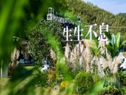 兔宝宝秋季新品问世：“零醛抗菌” 锋芒毕露，定义品质生活新高度