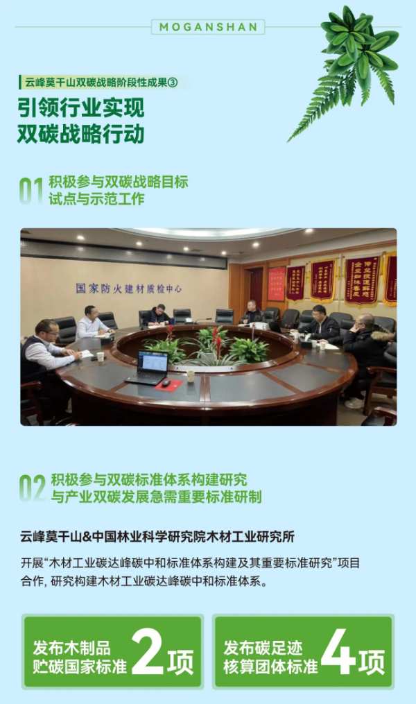 一图读懂双碳成果｜实施双碳战略，云峰莫干山在行动！