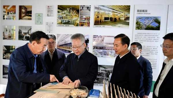 湖南省委书记沈晓明视察湖南鲁丽木业