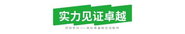 喜讯！佰世达集团获纤维板年产能四连冠！