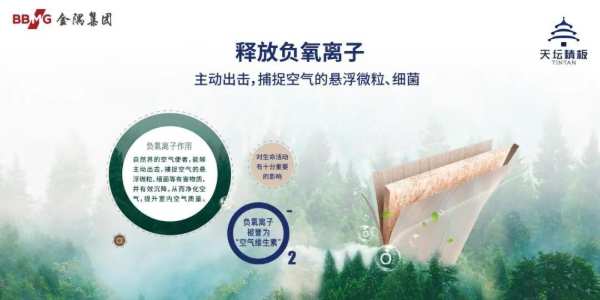 “天坛秋韵 天樾新章”天坛精板2024秋季新品发布会圆满落幕