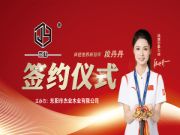 杰业板材：携手世界冠军，锻造卓越品质之路