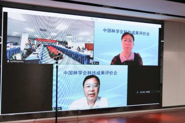 新港集团和东北林业大学共同研发的仿生无醛刨花板新技术/新产品通过4项“国际领先”水平鉴定！