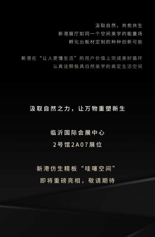 新港“哇噻空间”即将闪耀亮相2024年临沂木博会，敬请期待！
