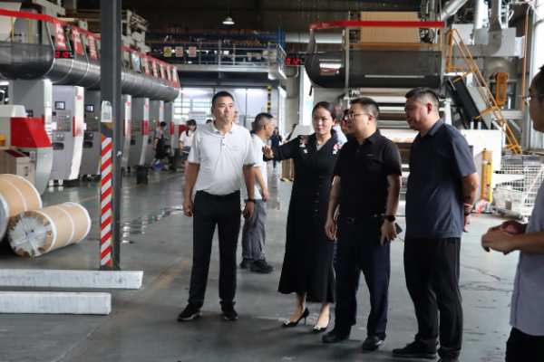 筑就健康品质好板 邛崃市副市长莅临杰家参观指导