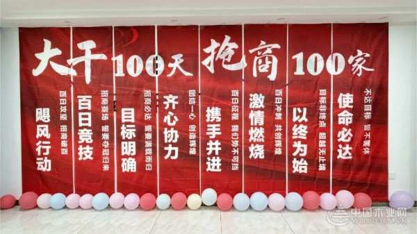 大干100天，抢商100家！团团圆圆飓风行动盛大启动