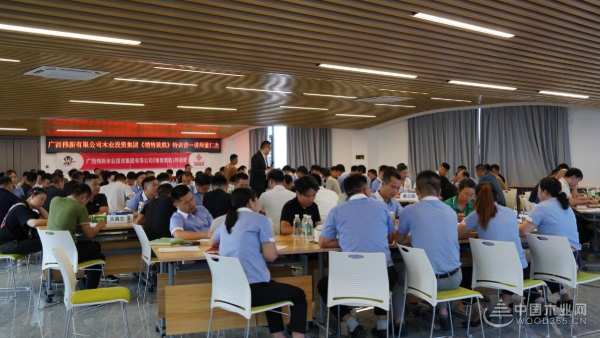 深化认知 聚势终端 广西伟新木业投资集团赋能销售体系
