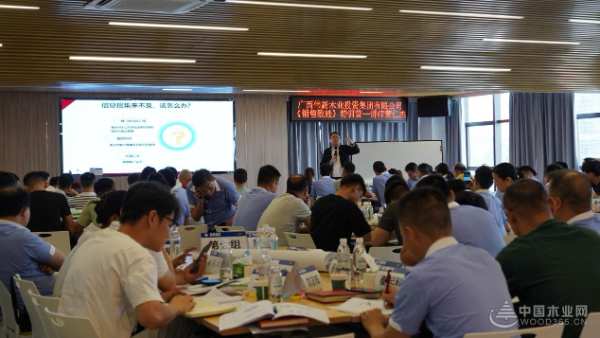 深化认知 聚势终端 广西伟新木业投资集团赋能销售体系