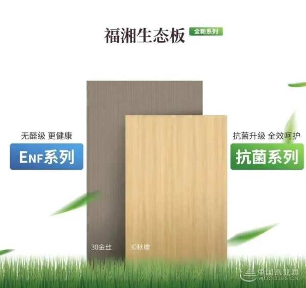 不忘匠心，实干为先丨福湘板材再夺“匠心板材十大品牌”殊荣