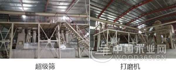 荣耀见证！鼎丰获2024金匠榜“刨花板十大品牌”奖项称号