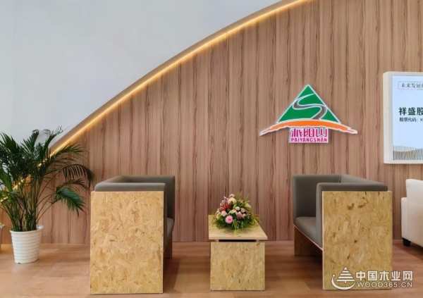 业界翘楚再获殊荣！派阳山荣膺2024金匠榜刨花板十大品牌！