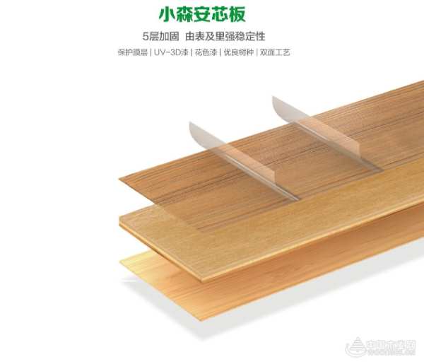 创造环保新质力，三棵树小森板获金匠榜“十大环保板材”荣誉