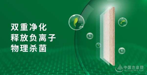 发展势头再提速 鹏鸿斩获金匠榜双项殊荣