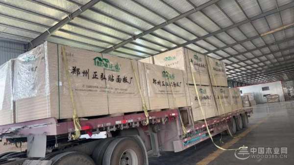 加码生产力 新厂房落成 世林正弘为高质量发展注入澎湃动力！