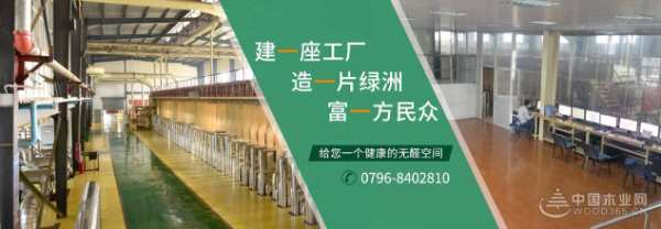榜样领航|绿洲木业总经理王丽萍：坚守质量责任，持续优质服务