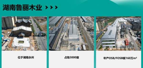 “从趋势到市场”——2024鲁丽木业品牌推介会在粤举行！