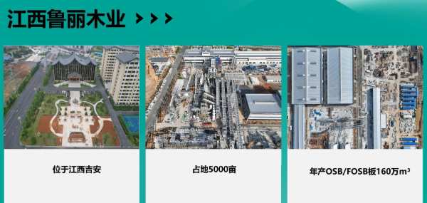 “从趋势到市场”——2024鲁丽木业品牌推介会在粤举行！